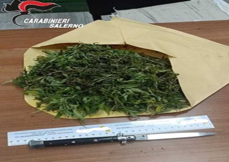 marijuana carabinieri