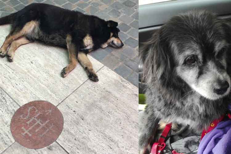 Jack che sosta all'ingresso di una chiesa e la sua mamma, Nerina