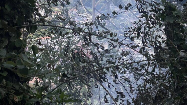 Principio di incendio a Nocera Superiore, due agenti della Polizia Locale evitano il peggio