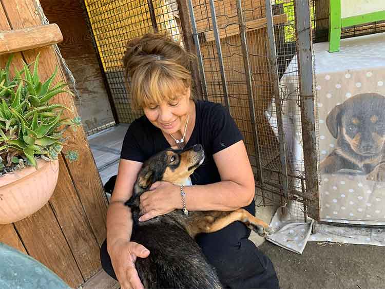 Carmela Esposito con uno dei cani che cura