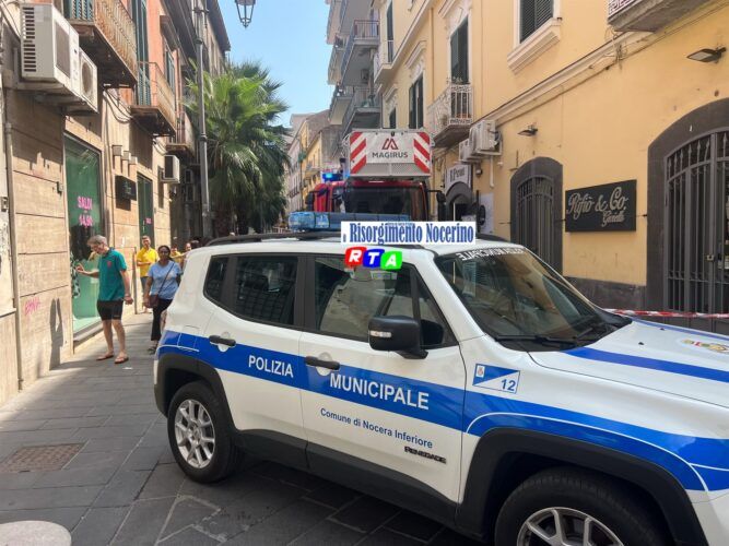 Nocera Inferiore, sanzioni ai proprietari dei cani che non rispettano le regole