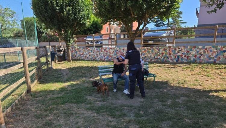 Nocera Superiore, al via i controlli su microchip e deiezioni canine